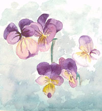 "African Violets" by Jeralyn Terry